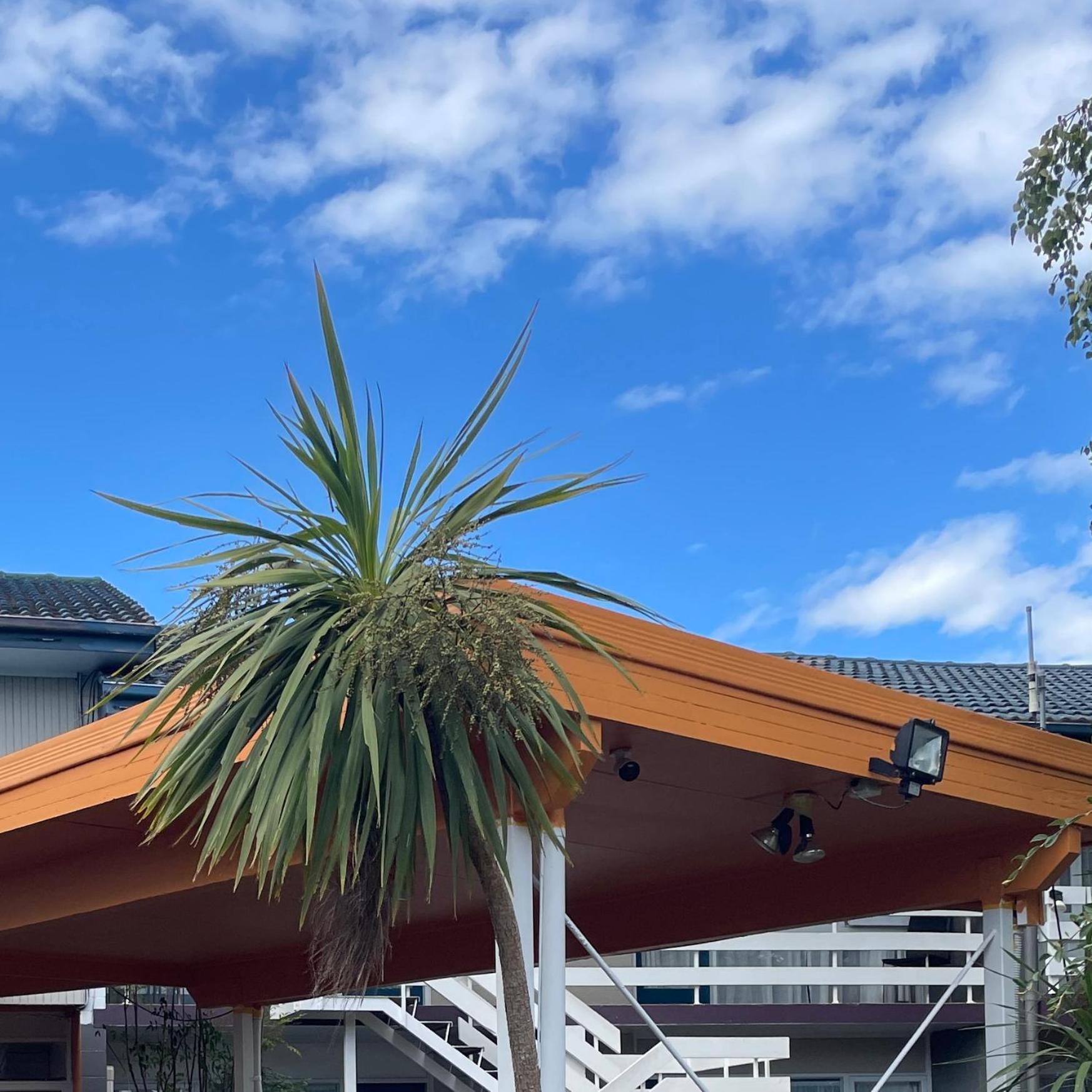 أوكلاند Mount Eden Motel المظهر الخارجي الصورة